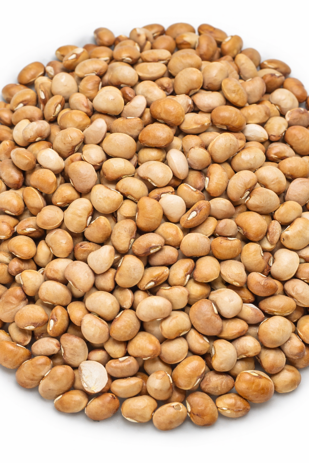 Oloyin(Honey) Beans